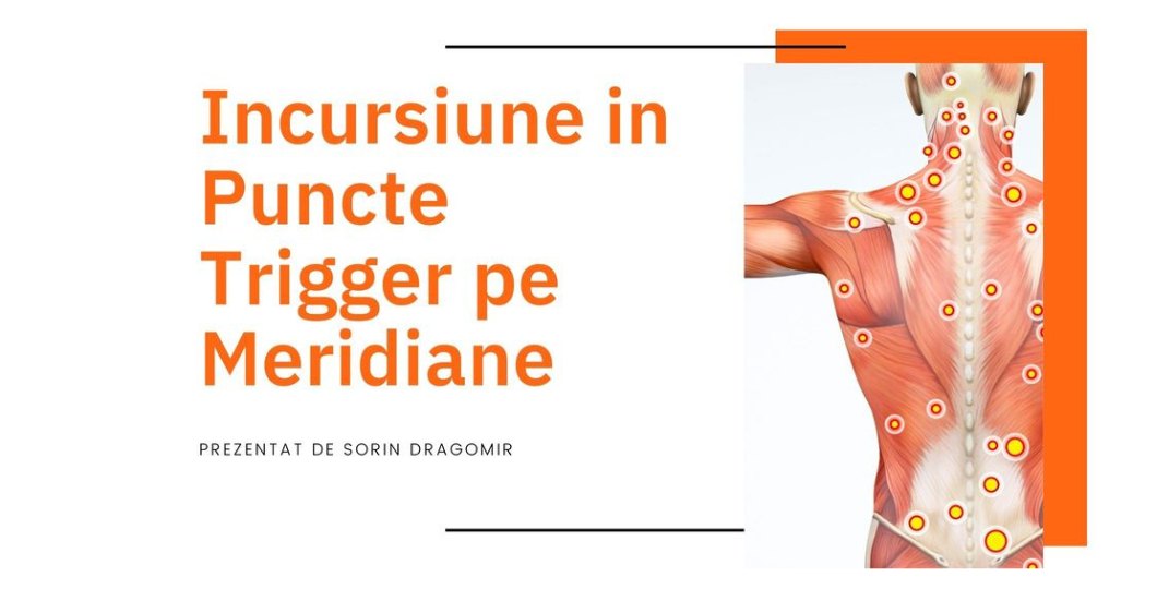 Curs Incursiune in Puncte Trigger pe Meridiane