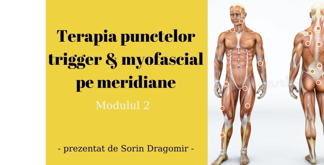 Terapia Punctelor Trigger & Myofascial pe Meridiane
